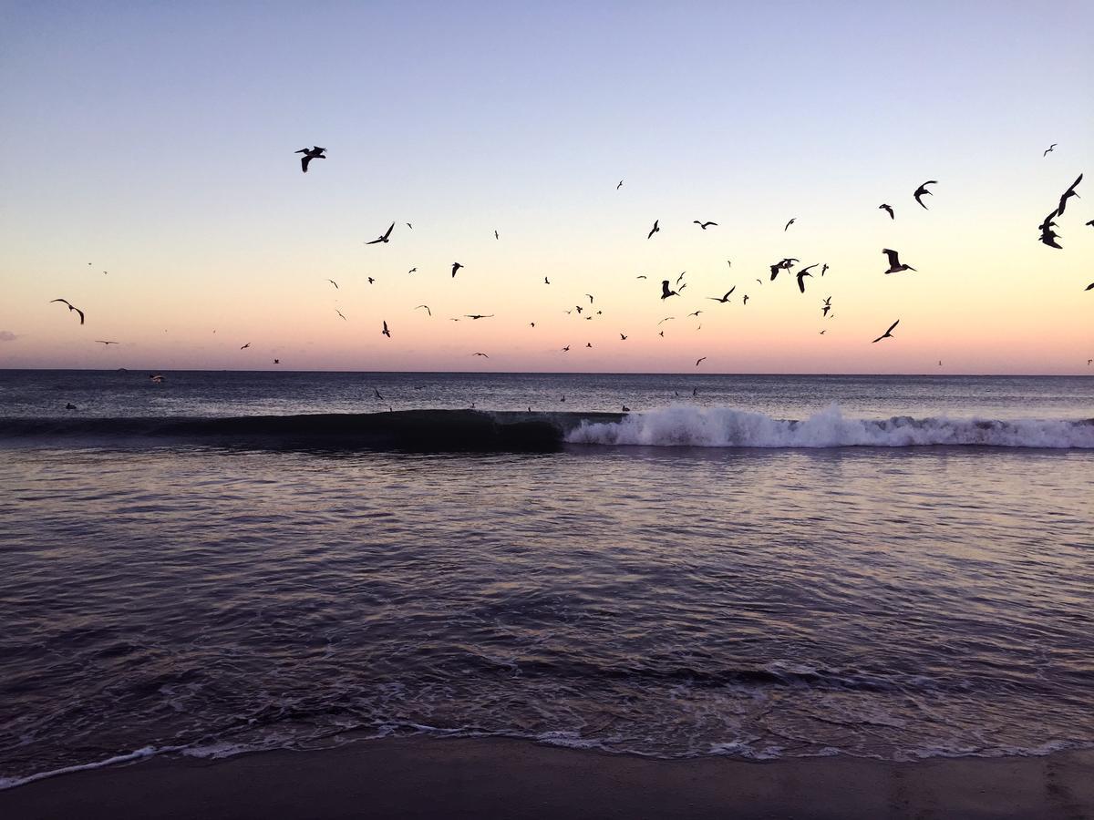 Malibu Popoyo Otel Dış mekan fotoğraf